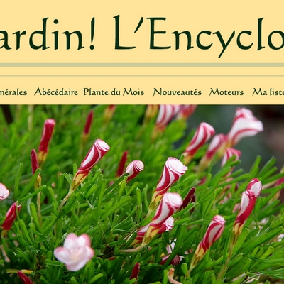 jardin